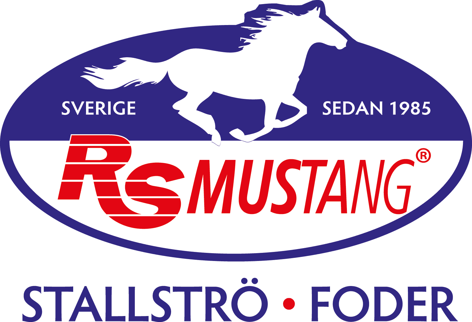 RS Mustang
